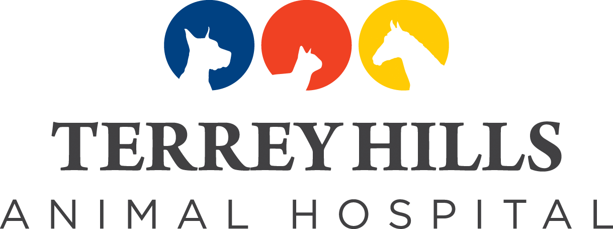 Terrey Hills Animal Hospital: Empowering Pet Owners | Open 7 Days