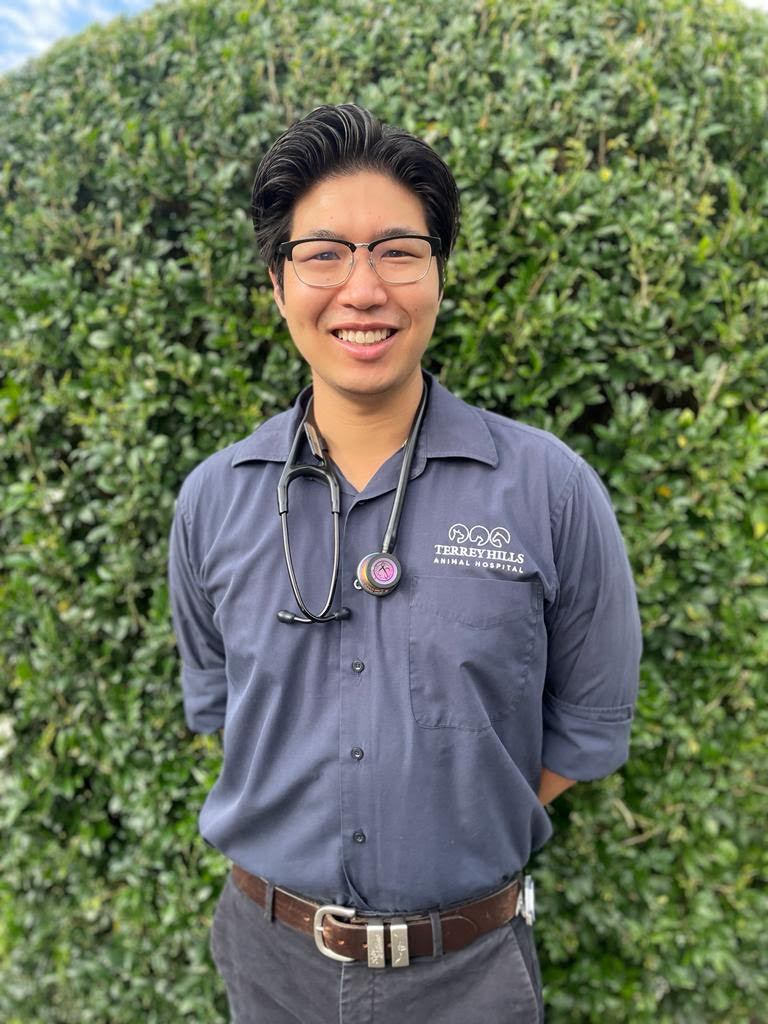 Terrey Hills Animal Hospital - Meet Our Team - Dr Dennis Yang