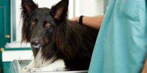 Understanding blood and urine tests